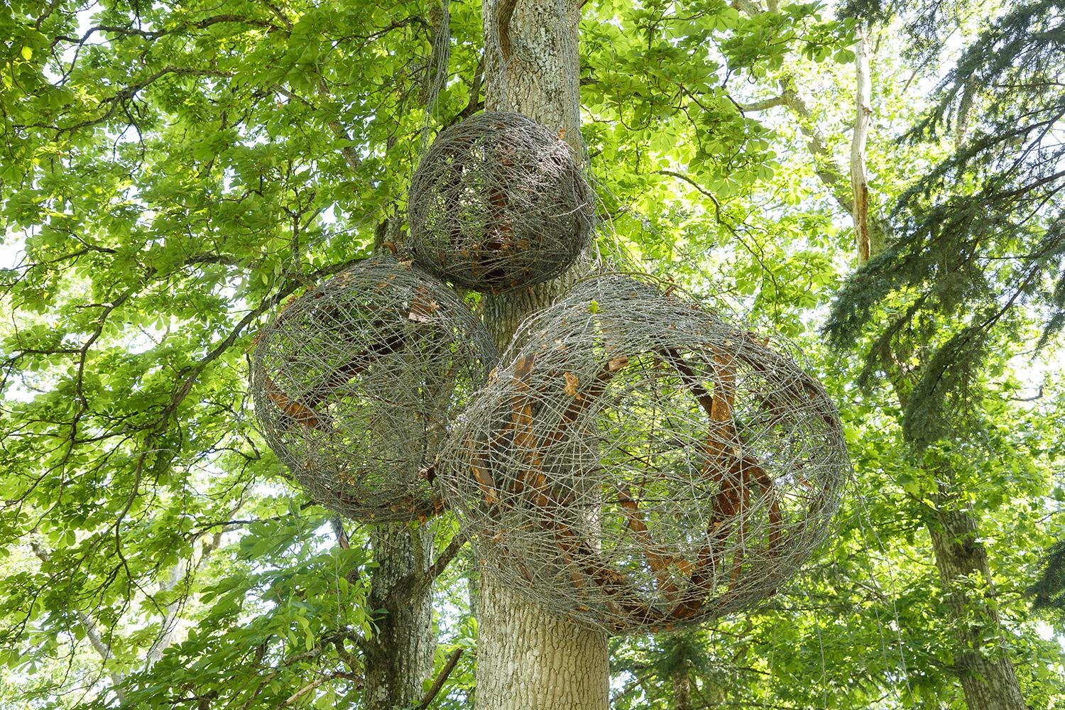 アブドゥル・ラマン・カタナニ | Domaine de Chaumont-sur-Loire