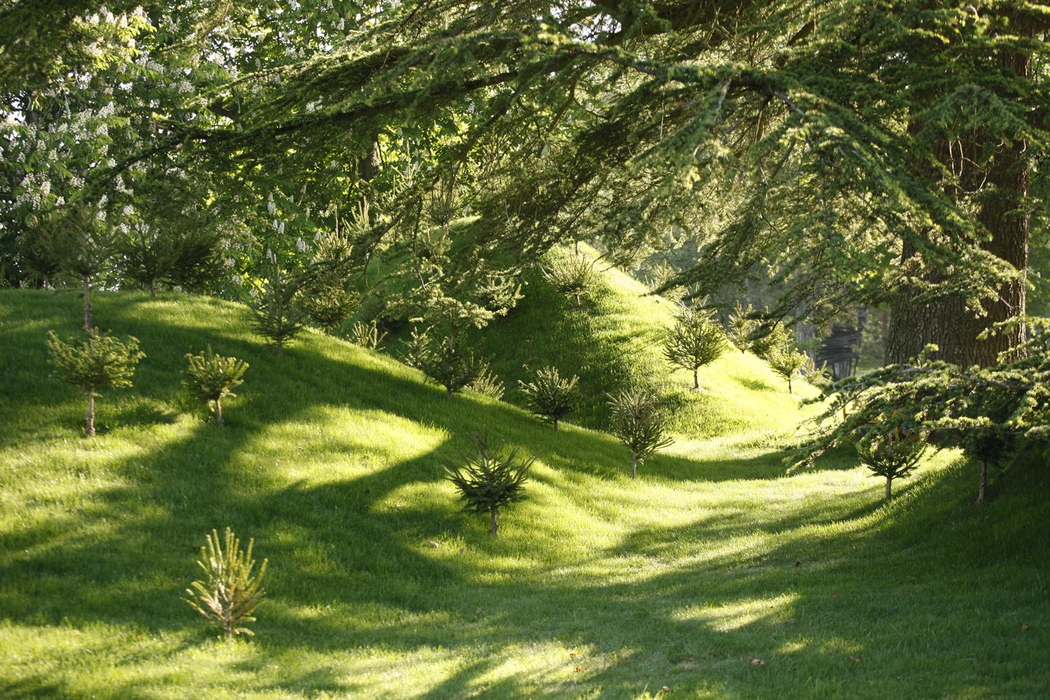 Nils-Udo | Domaine de Chaumont-sur-Loire